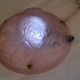 Powder pink Art Deco pendant light