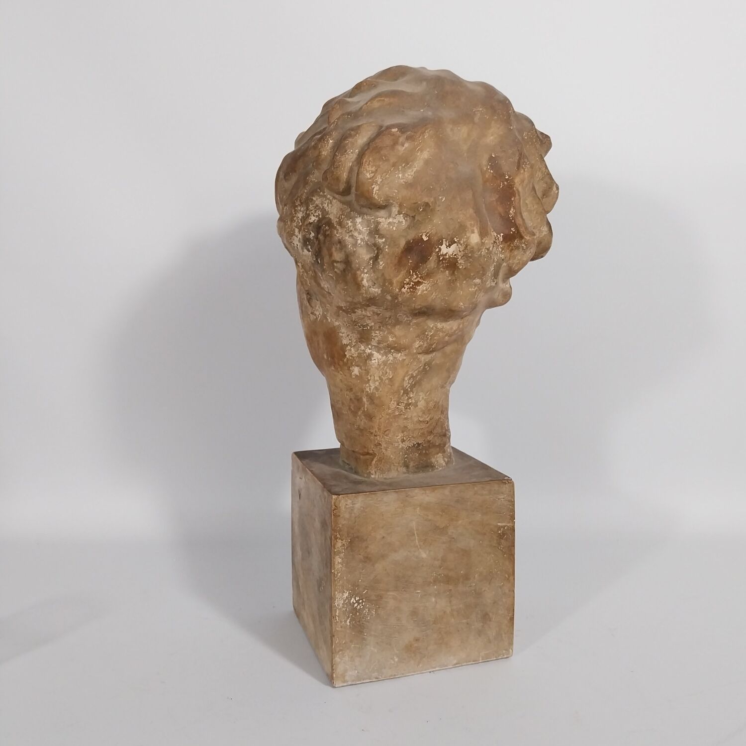 Plaster bust