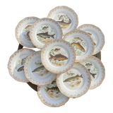 11 vintage Limoges porcelain fish plates