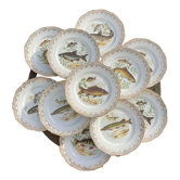 11 assiettes poissons en porcelaine Limoges vintage