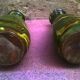 Pair of vintage vases