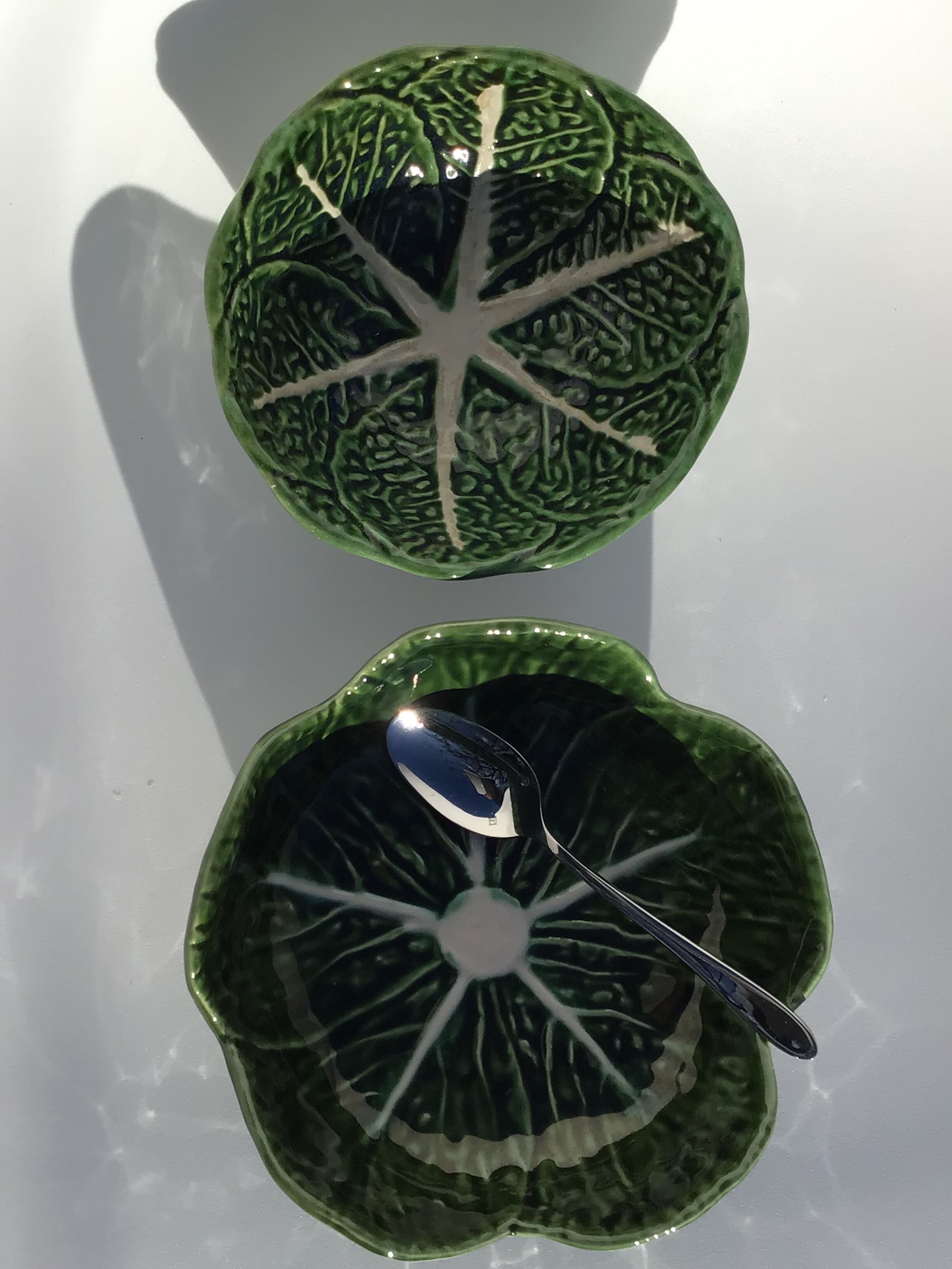 2 bowls slurry cabbage