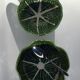 2 bowls slurry cabbage