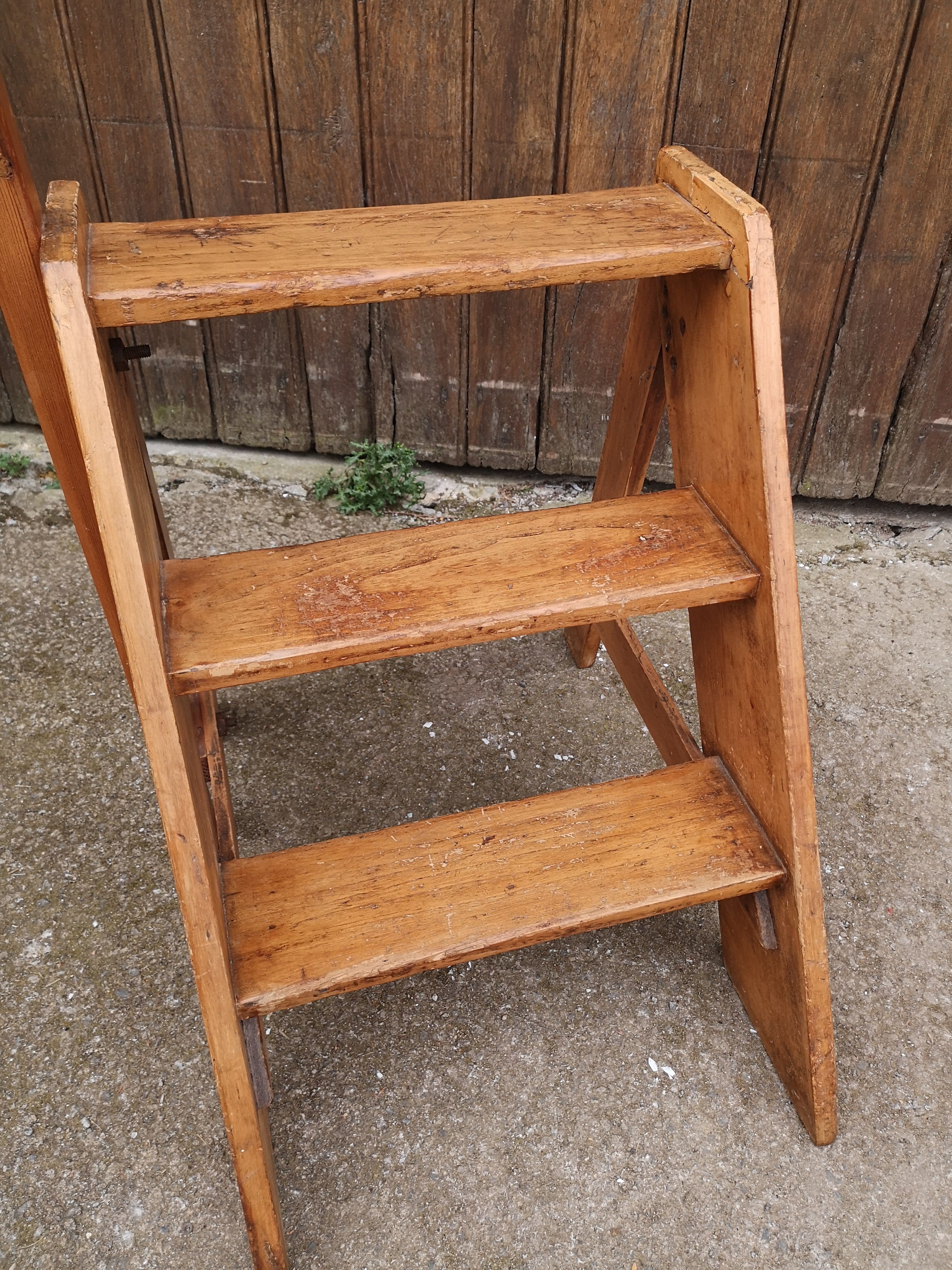 Library ladder said giraffe