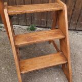 Library ladder said giraffe