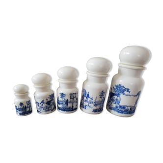 Ensemble lot pots d'apothicaire verre opaline