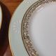 Limoges porcelain dessert service
