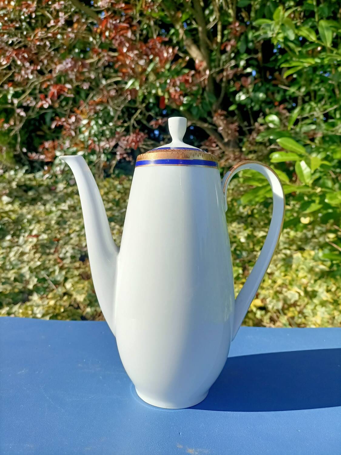 Hertel Jacob Bavaria Tea Set