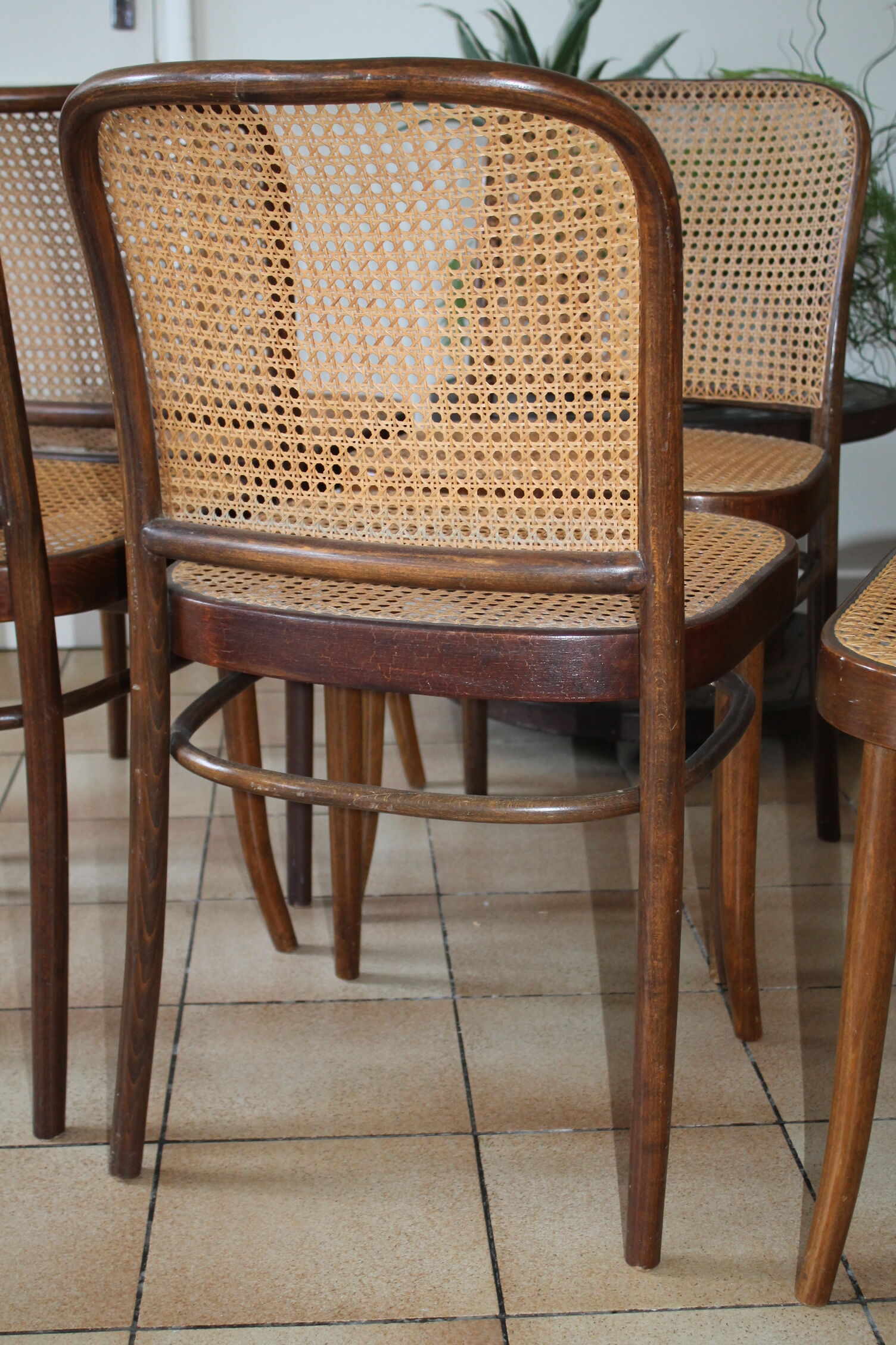 Set of 6 chairs canned drevounia