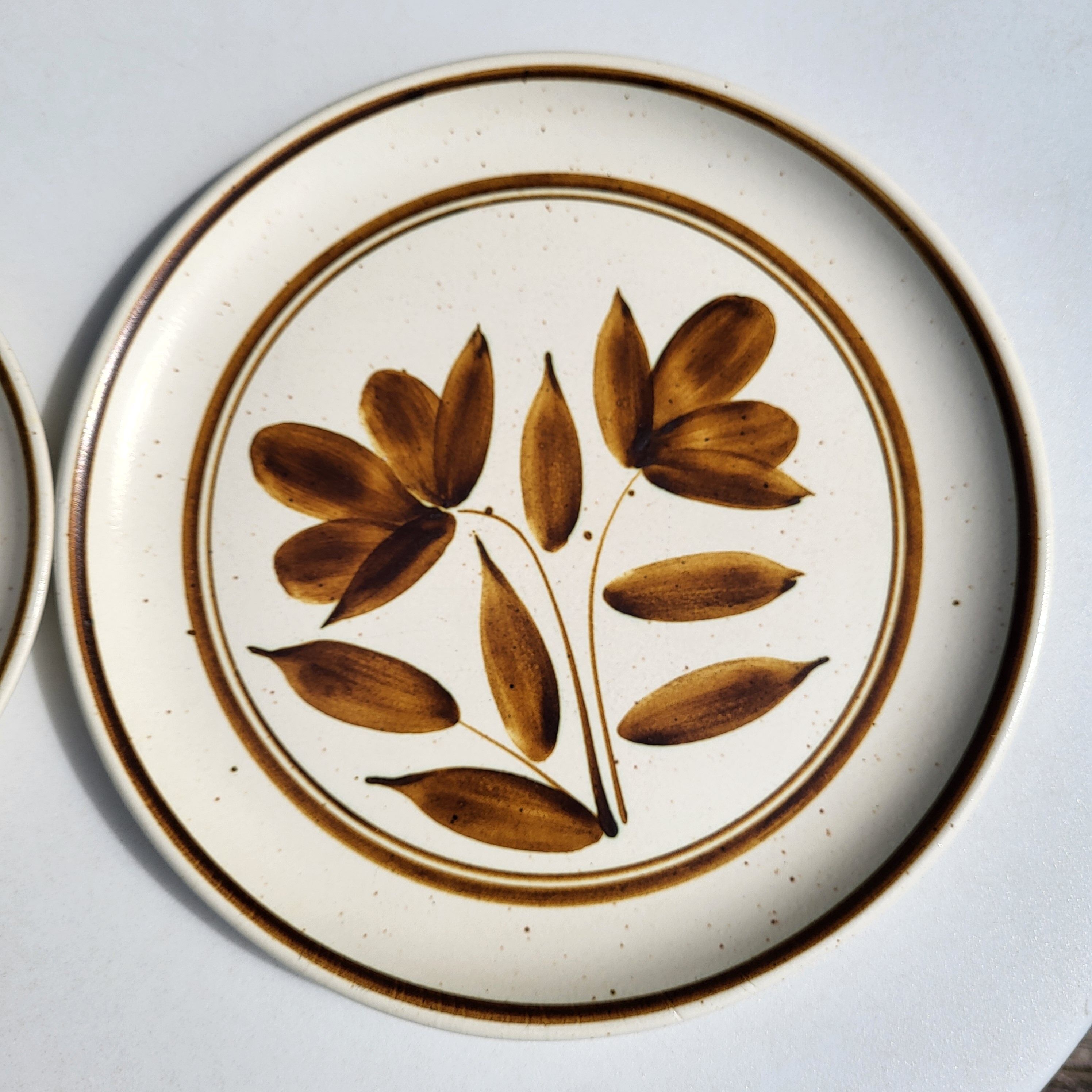 Duo d'assiettes en grès Longchamp marron à décor de fleurs
