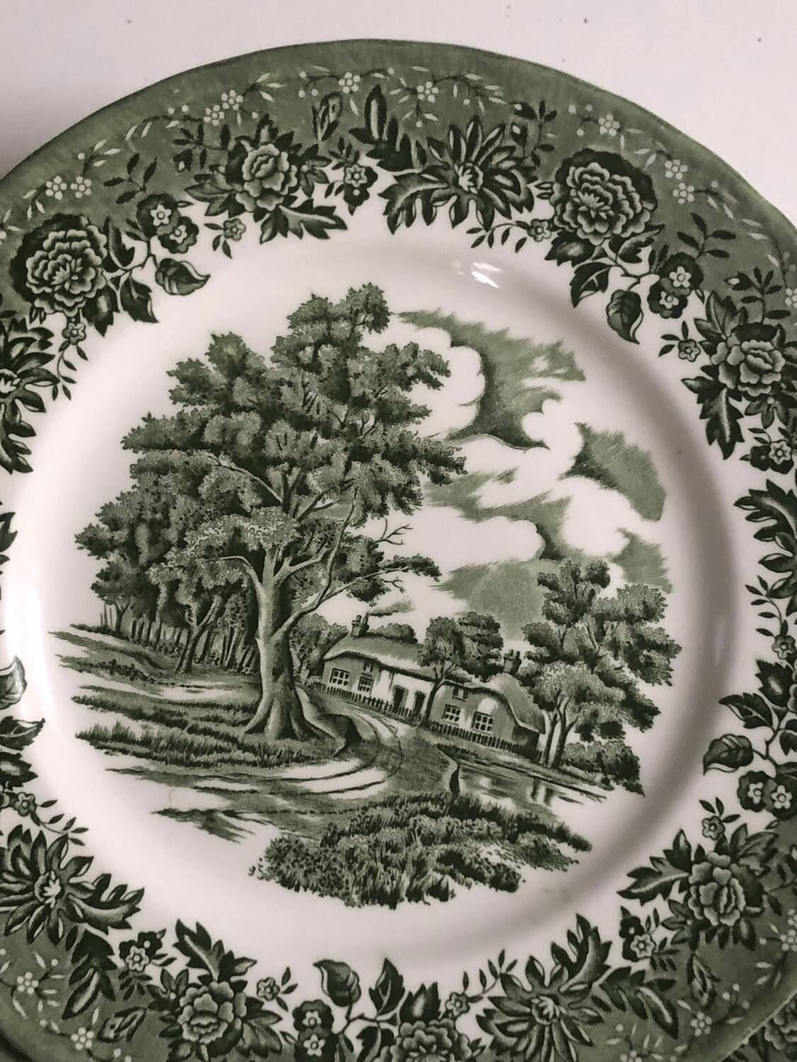 Set of 9 vintage W H Grindley plates – Country Style pattern (green)