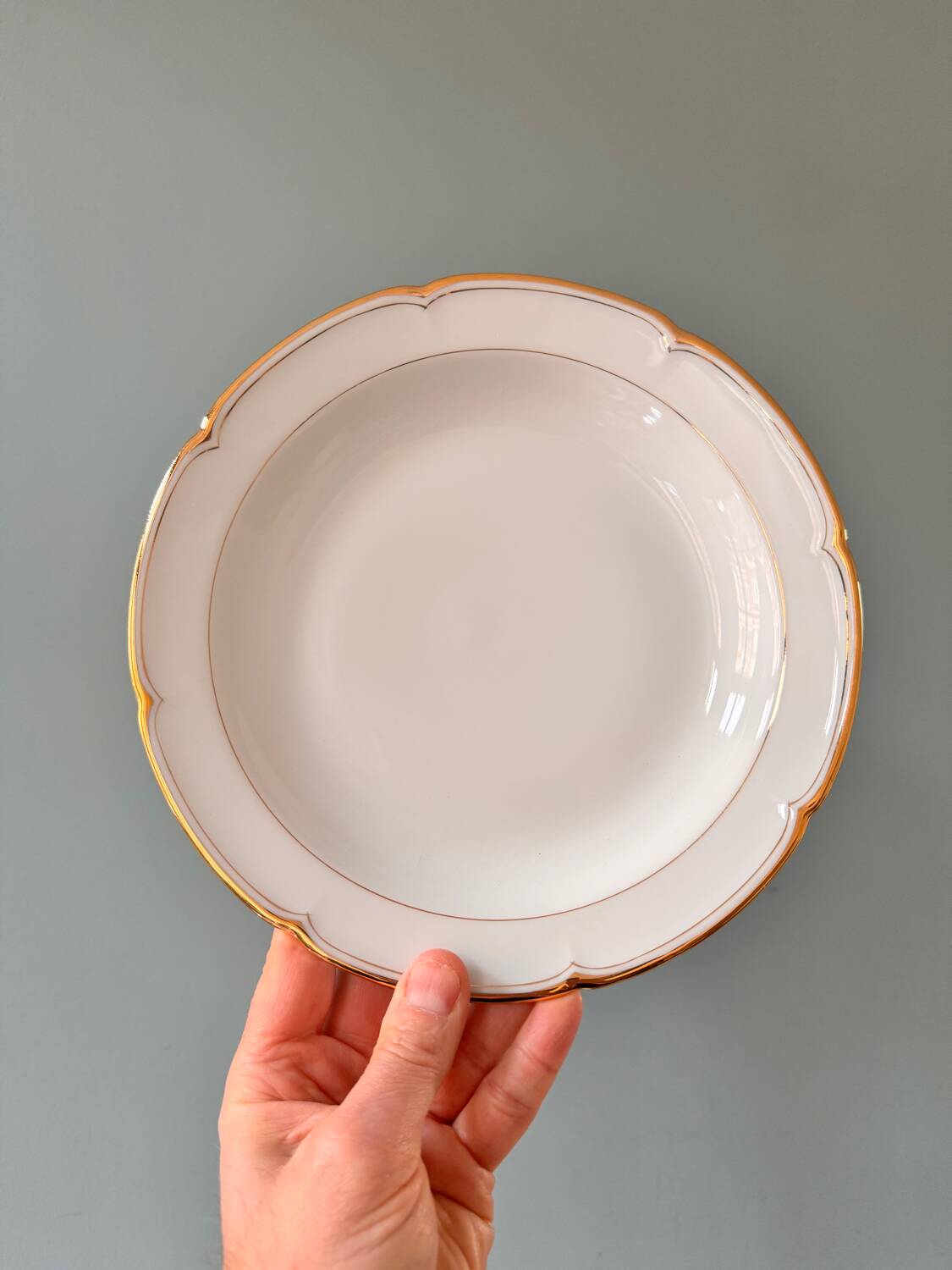 Set of 7 old Limoges porcelain plates