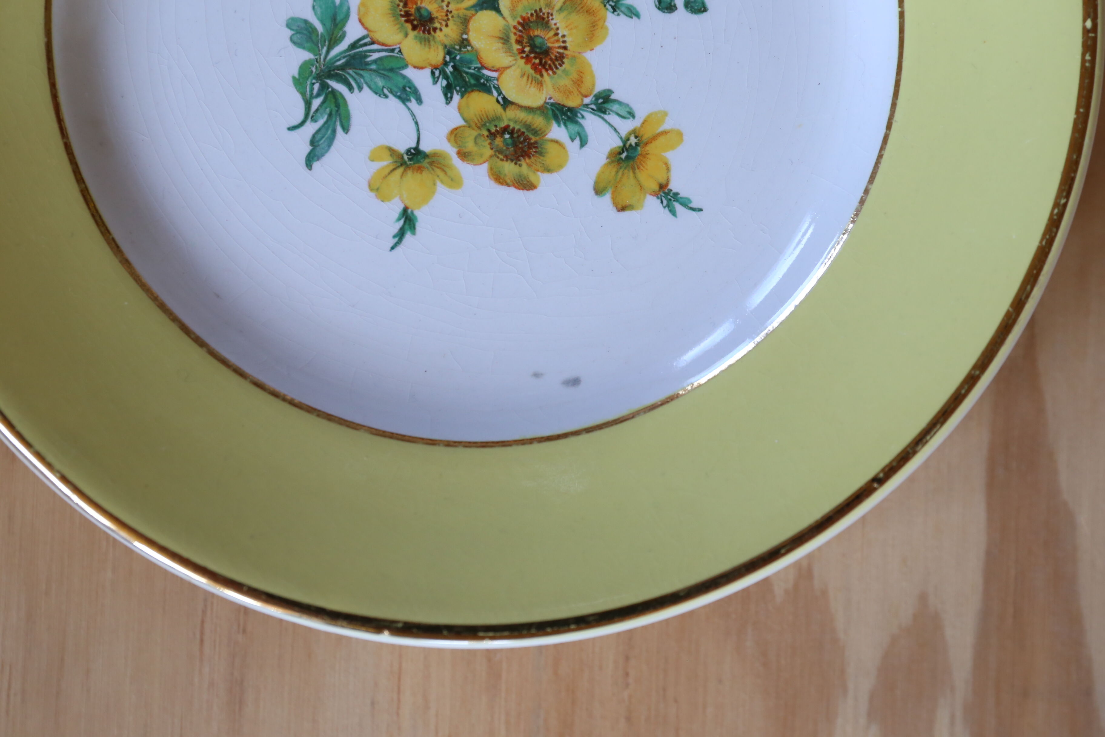 6 old plates Digoin & Sarreguemines