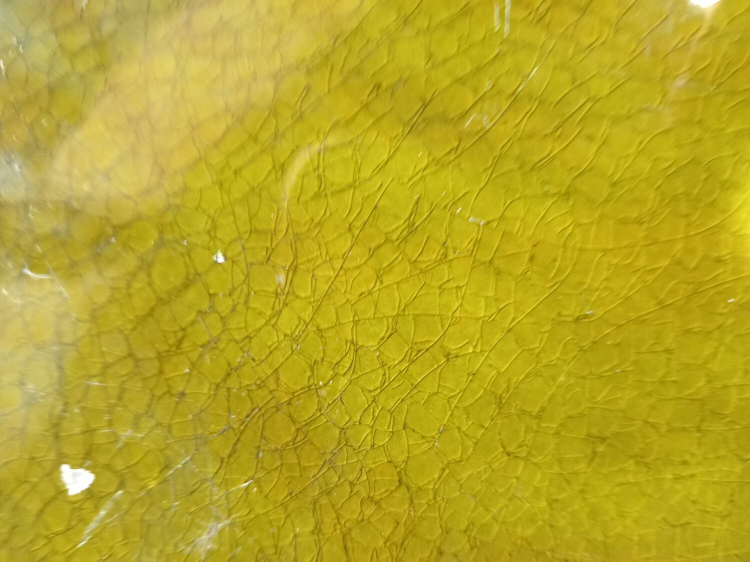 Olive green earthenware dish