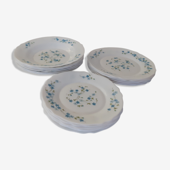 Set de 18 assiettes veronica fleurs bleues Arcopal  myosotis 6 x plates  dessert  creuses vintage campagne