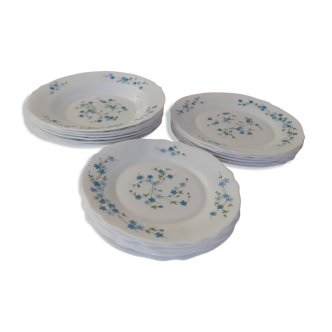 18 plates veronica blue flowers arcopal forget-me-not 6 x plates dessert hollows vintage countryside