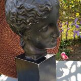 Diane bust in platre