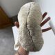 Paire de corail Fungia « coussin de requin »