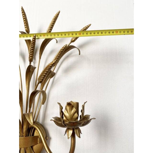 Contemporary gold florentine wrought iron ears wall lamp