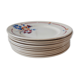 Lot of 10 plates Saint Amand model Valentin