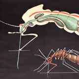 Wall poster of the school from Jung-Koch-Quentell "mosquito" 1972