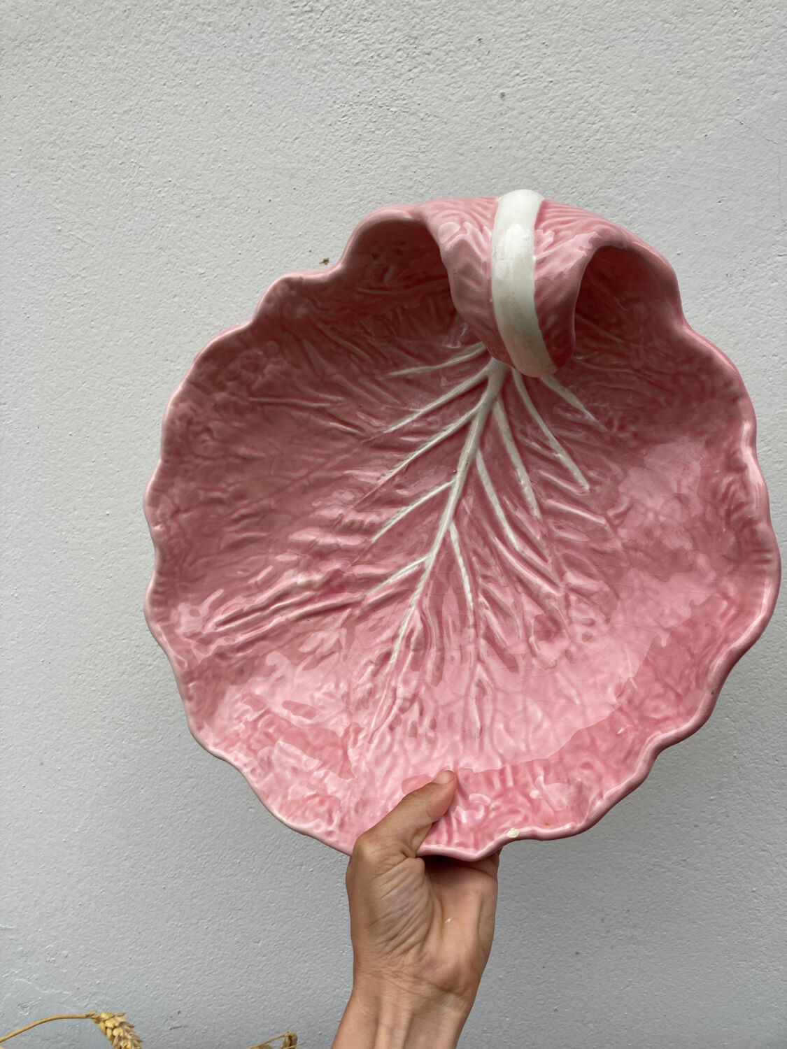 Slip pink cabbage leaf flat empty pocket