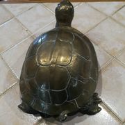Tortue en laiton xxe patine dorée
