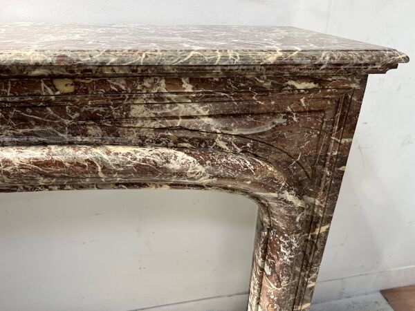 Cheminée de style Louis XIV en marbre rouge moucheté XIX siècle