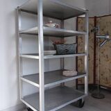 1950s metal shelf on wheels
