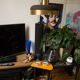 Floor lamp 50s