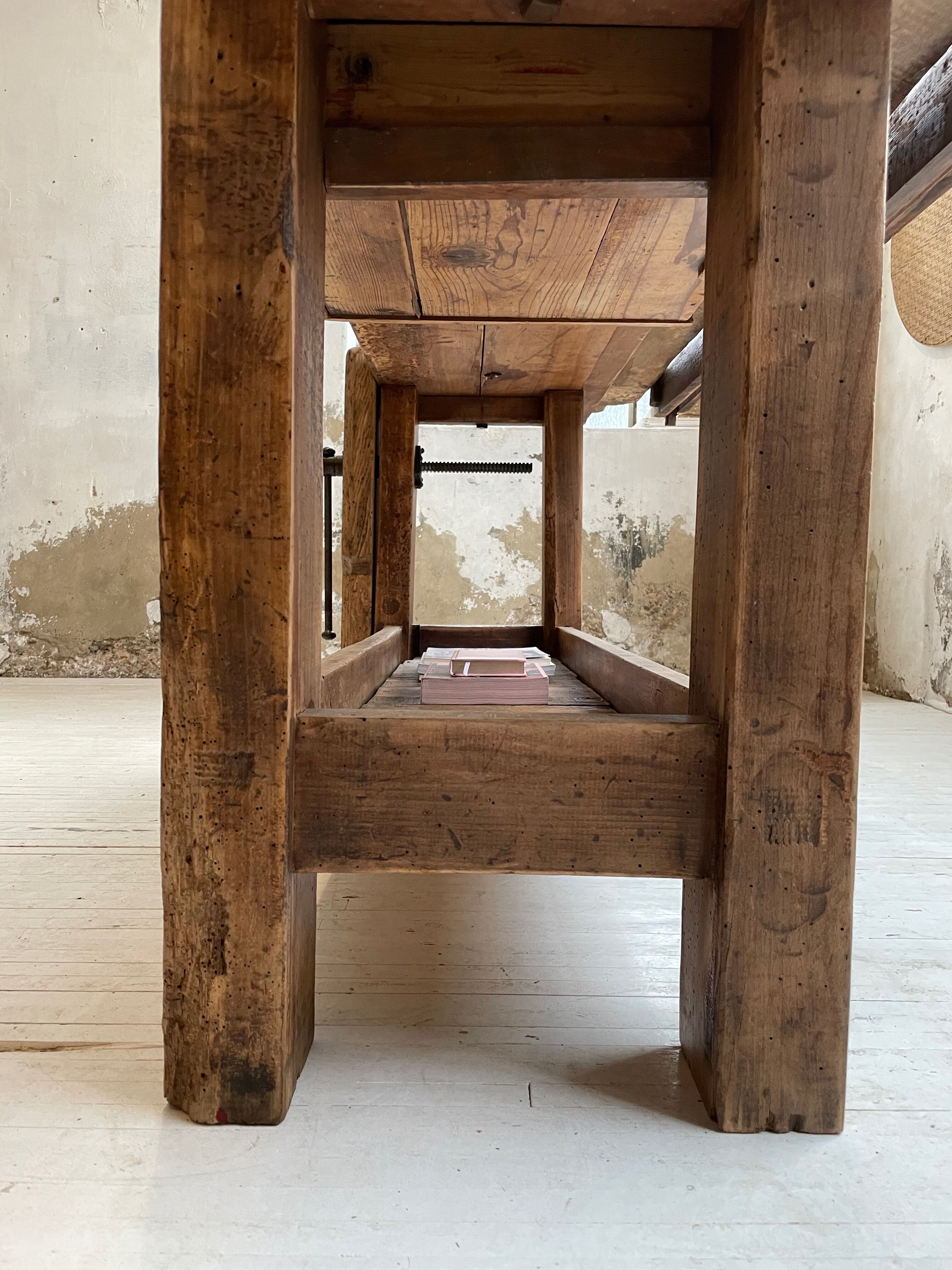 Established old oak XL