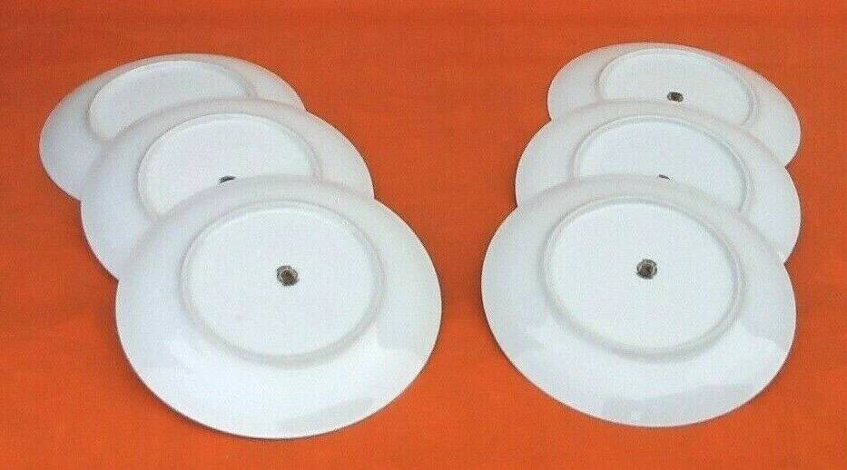 6 Bohemian Fine Porcelain Dinner Plates