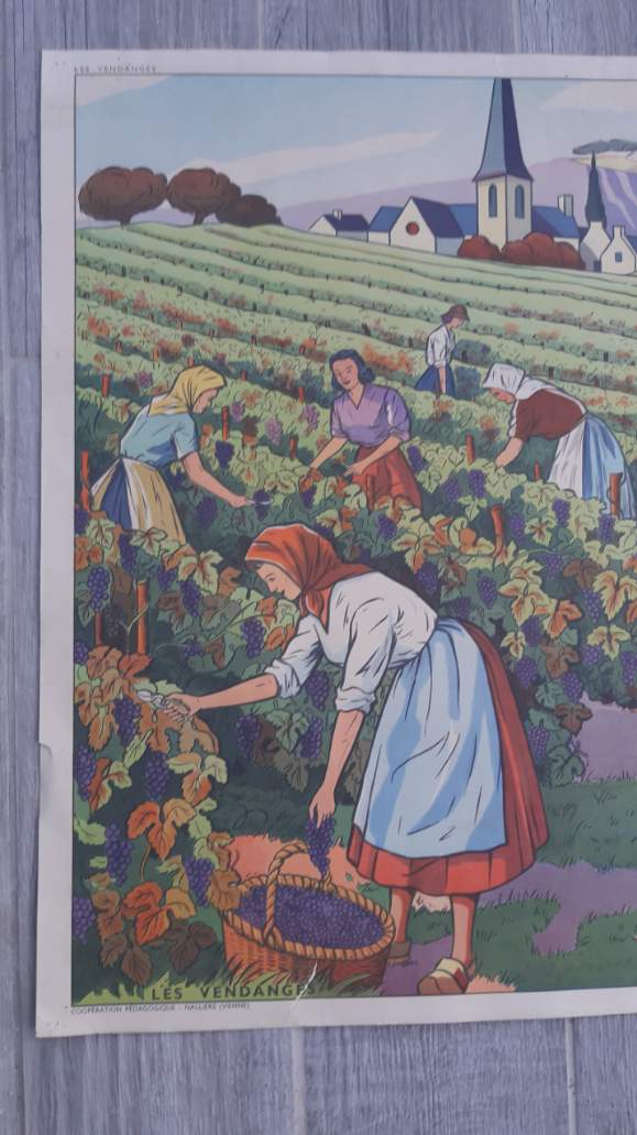 Rossignol school poster