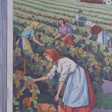 Rossignol school poster