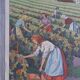 Affiche scolaire Rossignol