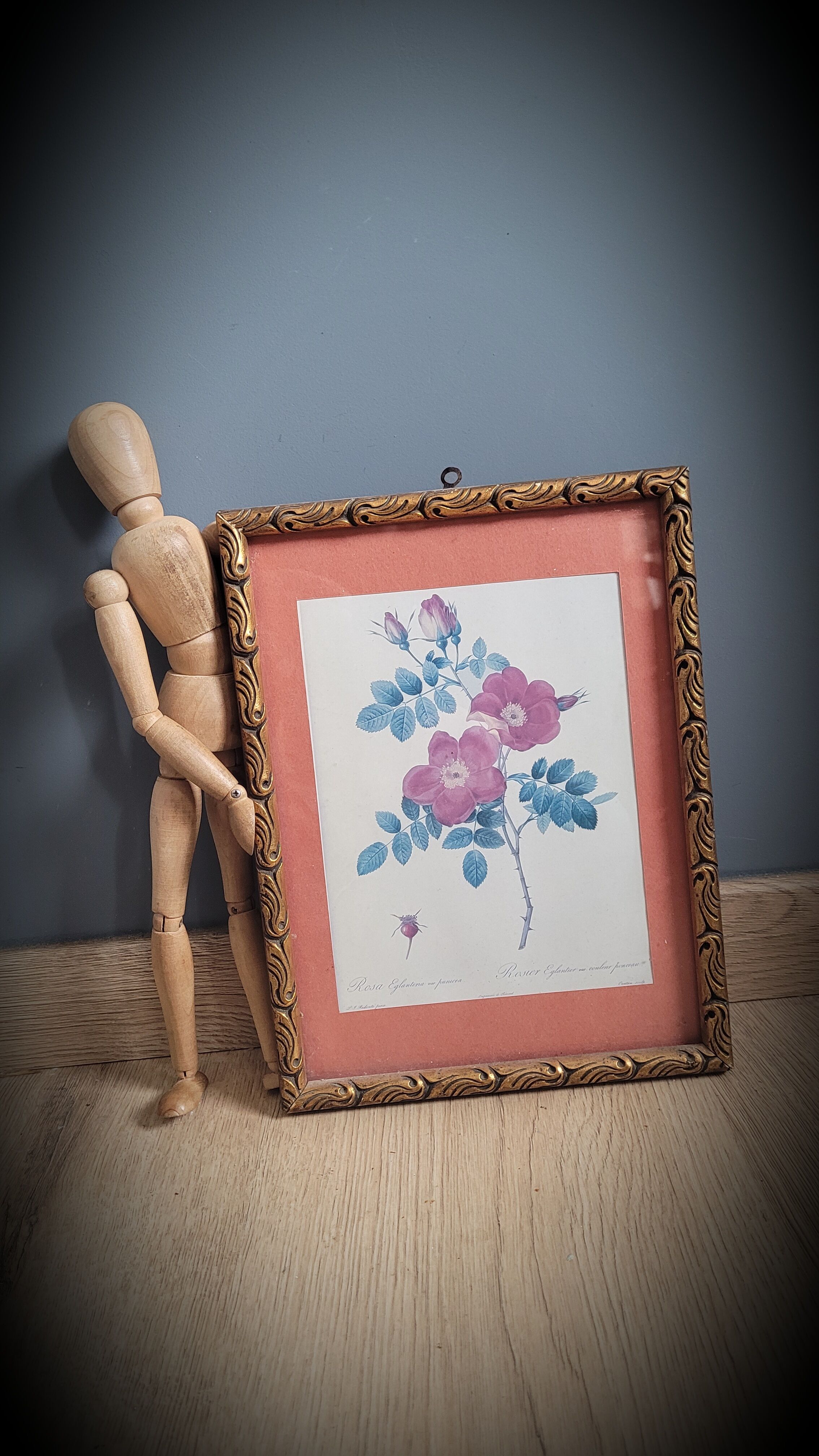 Litho Rose Eglantier