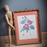 Litho Rose Eglantier