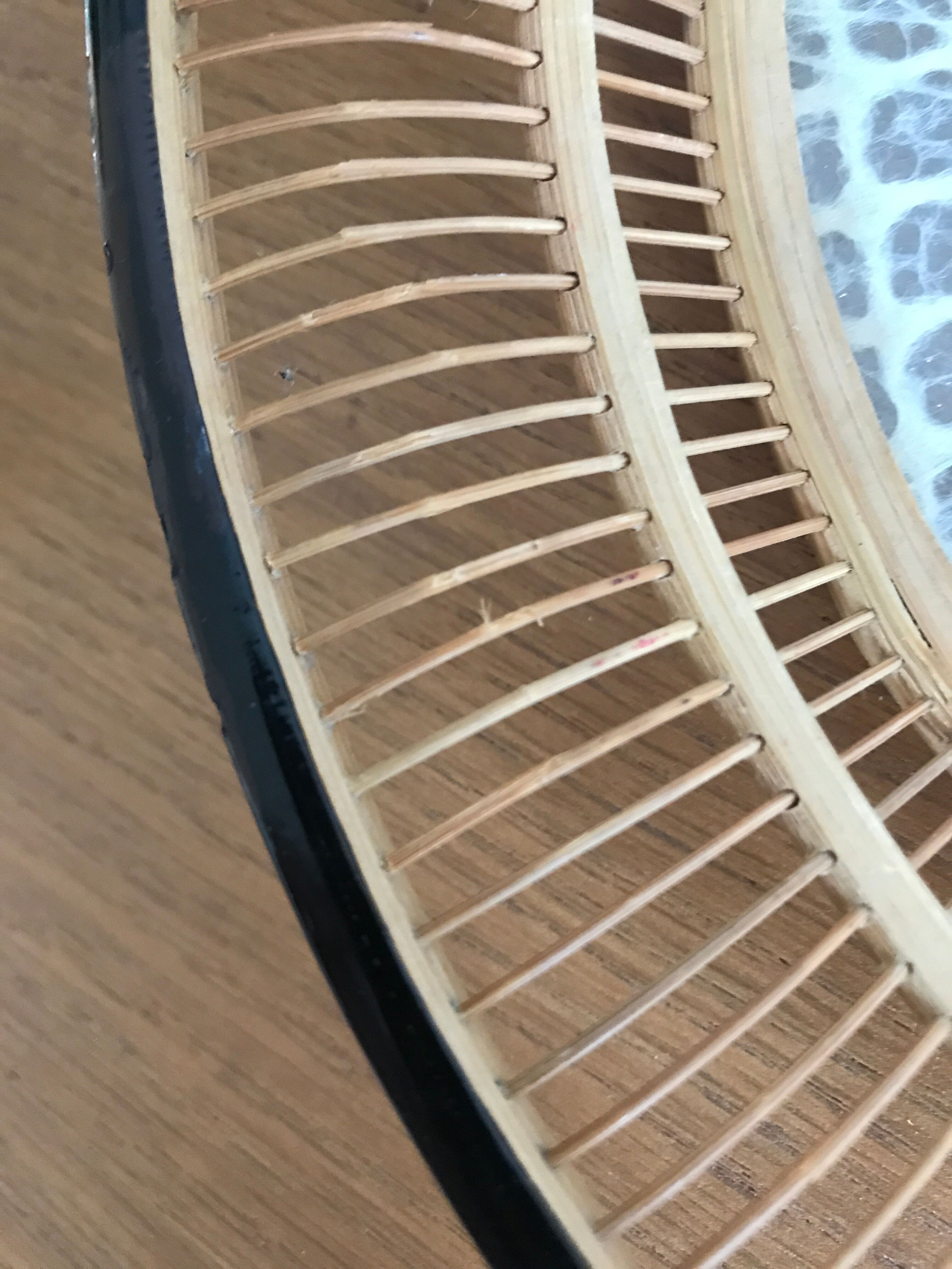 Empty bamboo pocket, glass and true butterfly wings