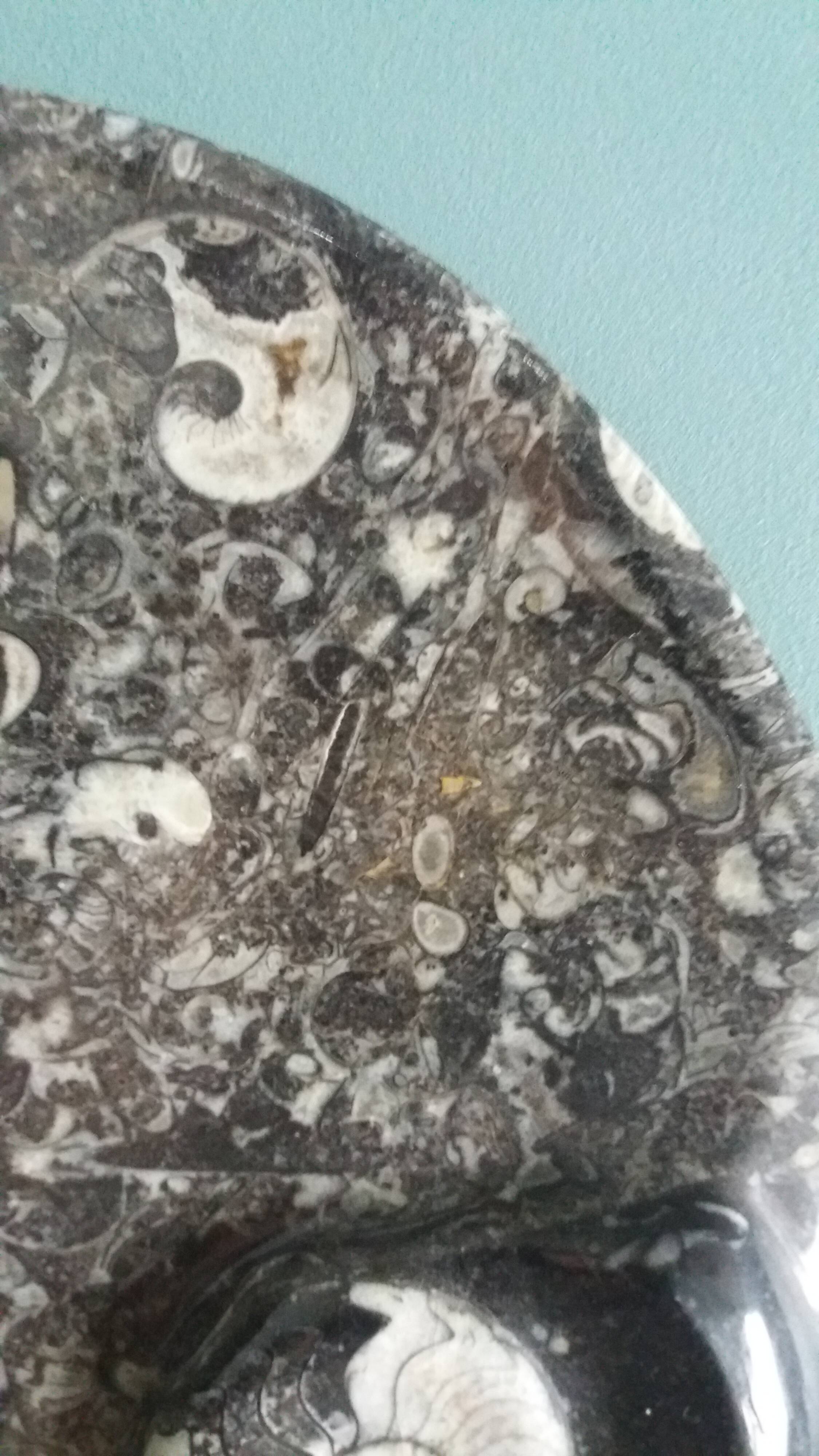 Marble trinket tray with ammonite fossil