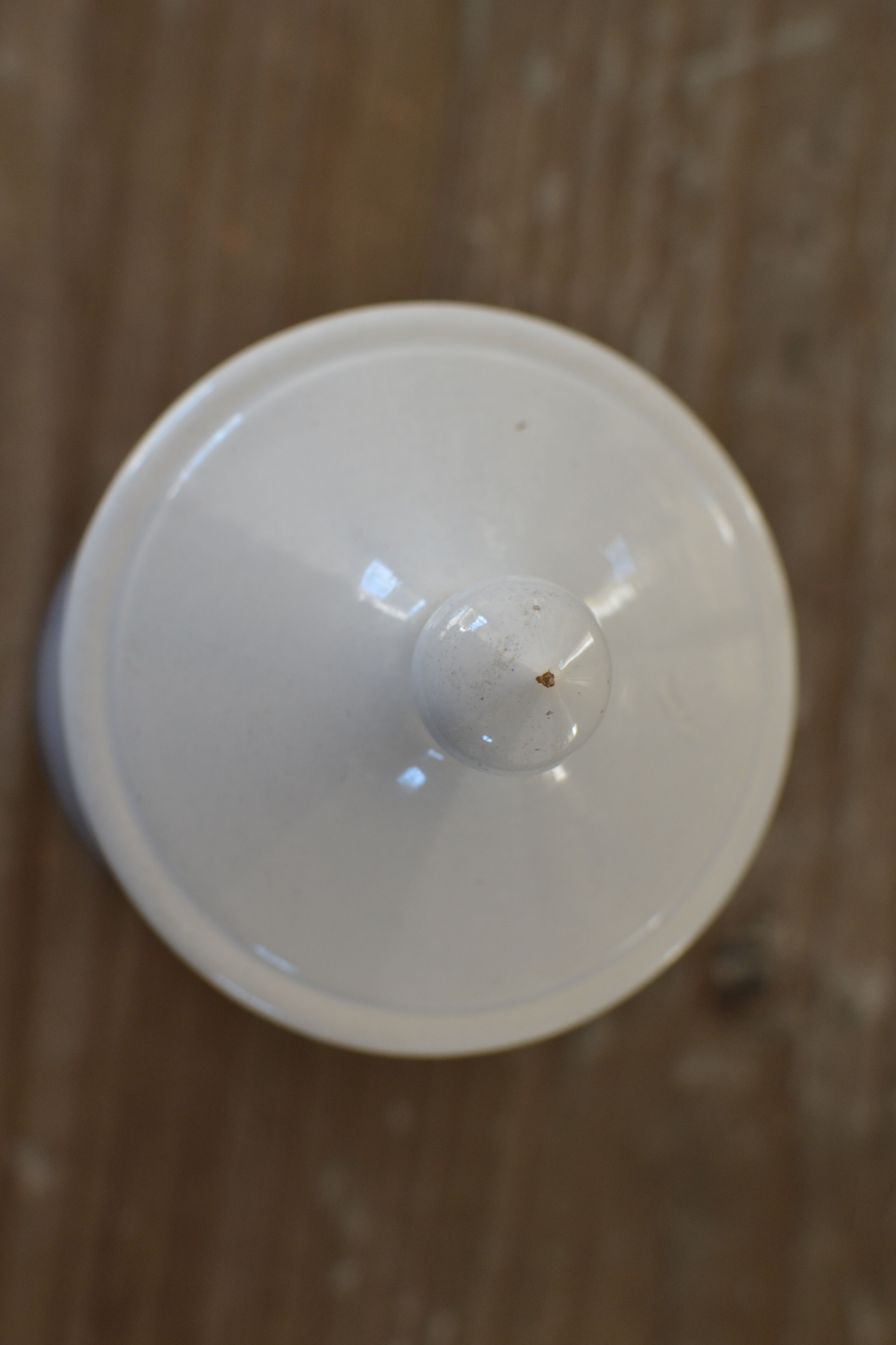 Old pharmacy pot eucalyptus globulus longchamp