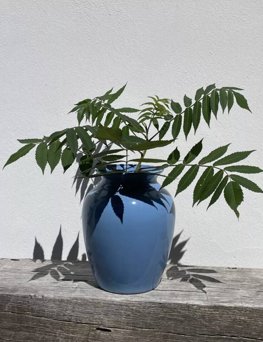Vase balustre en céramique bleu uni minimaliste