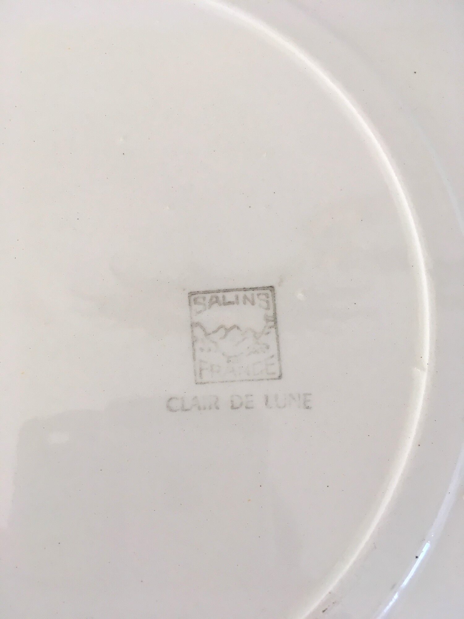 2 Vintage dishes in Salins earthenware service clear 50s