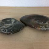 Pair of empty fossilized ammonite pockets