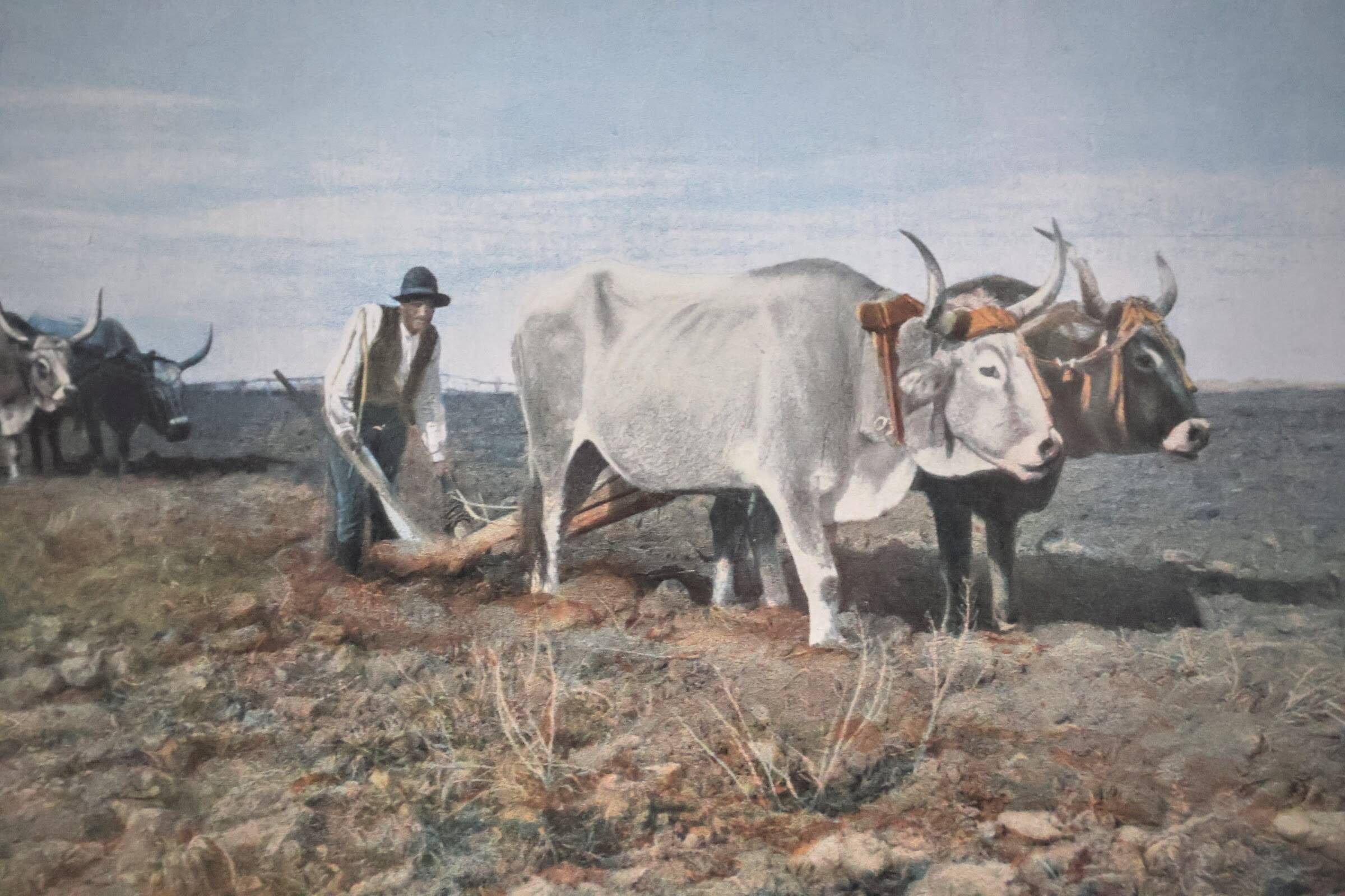 Original Gillot photogravure painting