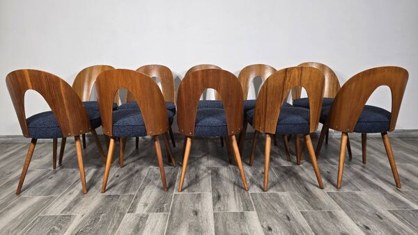 Chaises de salle à manger par Antonin Suman, années 1960, lot de 10