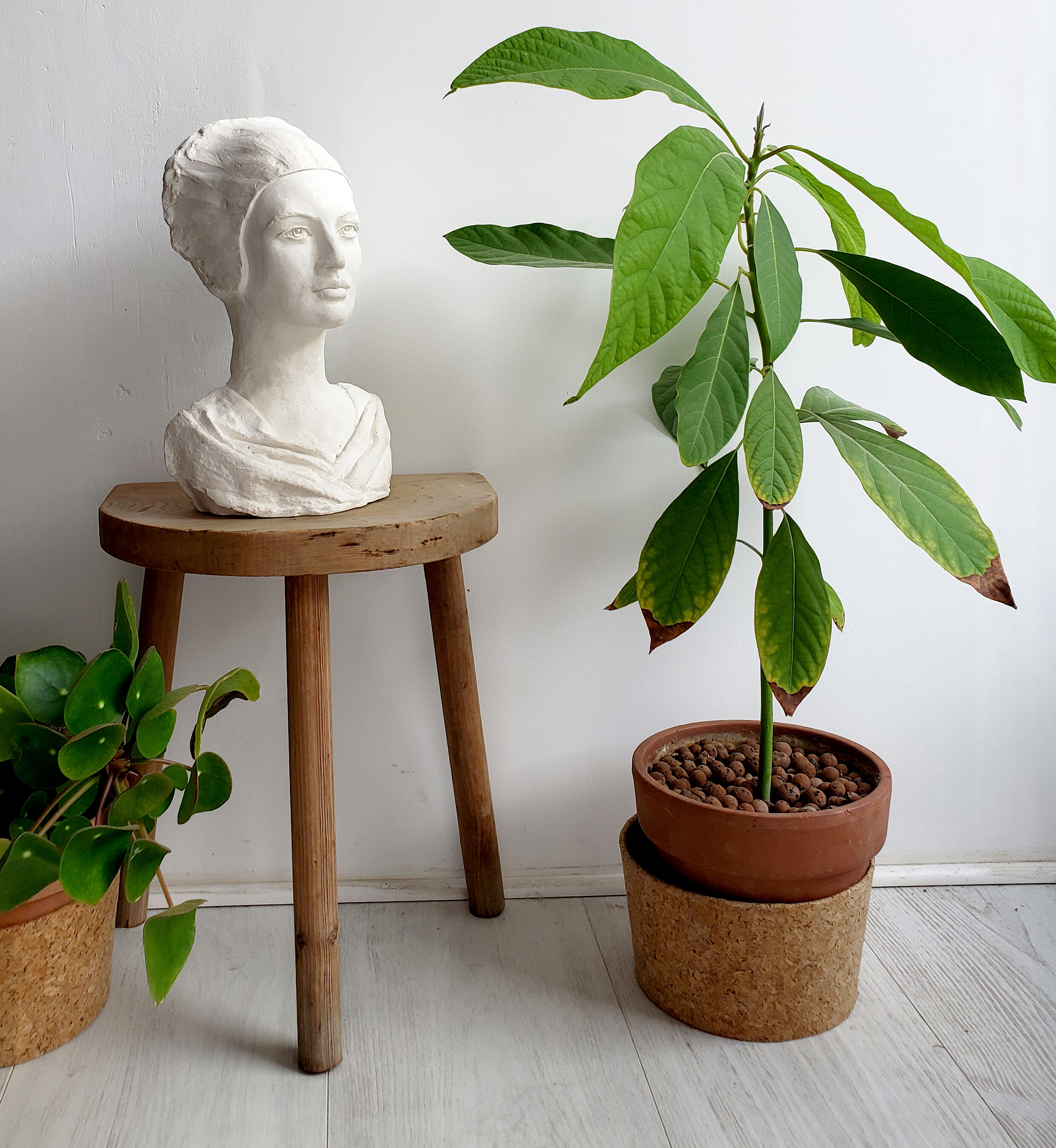 Plaster bust of a woman