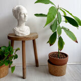 Plaster bust of a woman