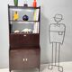 Vintage Walnut Bookshelf and Secretaire by Claudio Salocchi for Sormani, Italy