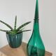 SADR green glass carafe