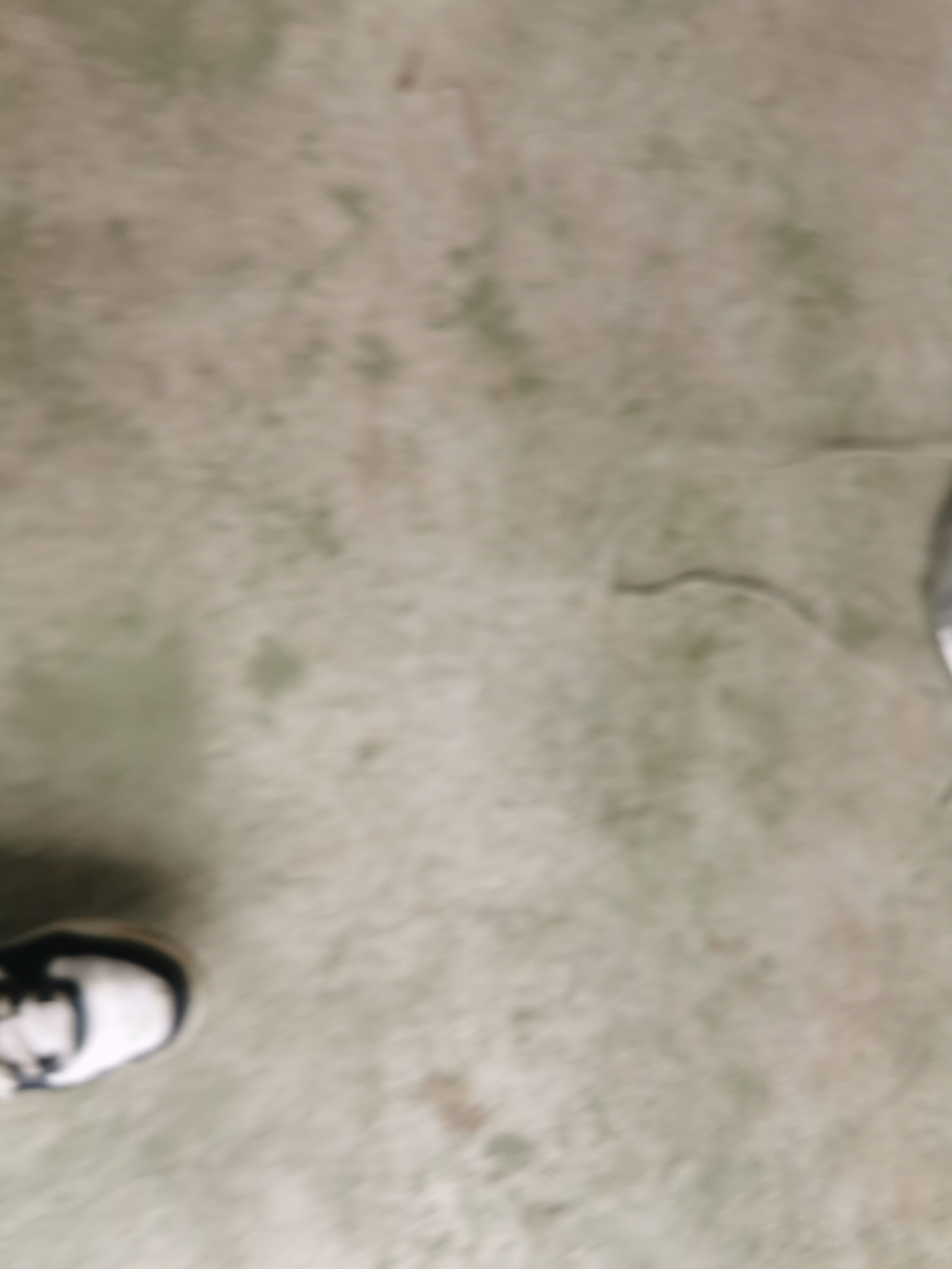 Floor lamp 1930's metal chrome